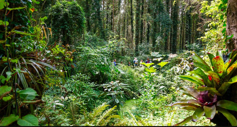 Jungle Garden, Eu, France, France